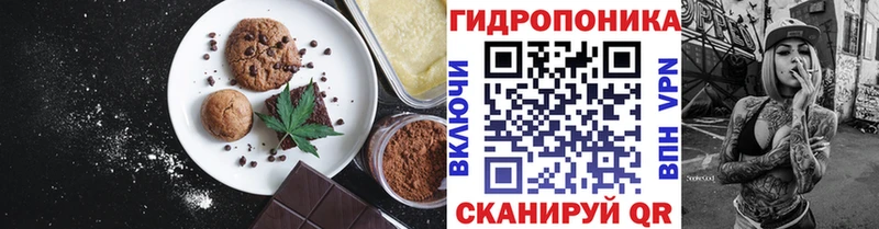 ссылка на мегу сайт  Махачкала  Печенье с ТГК конопля 