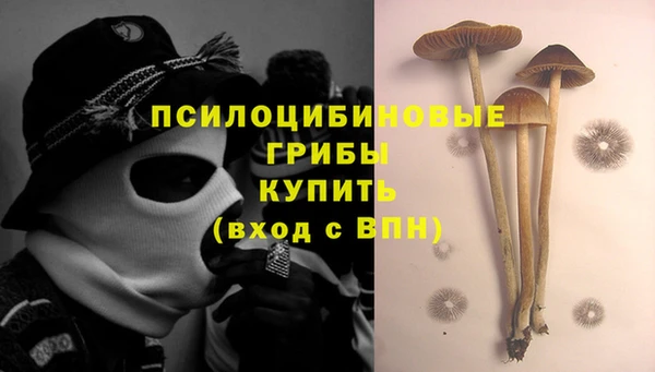 2c-b Новозыбков