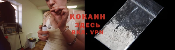 2c-b Новозыбков
