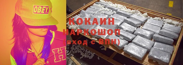 2c-b Новозыбков