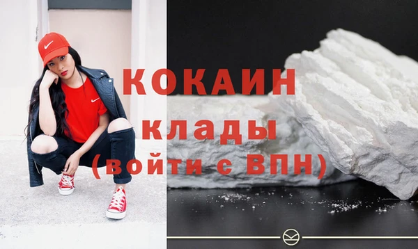 2c-b Новозыбков