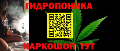 ГАЛЛЮЦИНОГЕННЫЕ ГРИБЫ Кандалакша