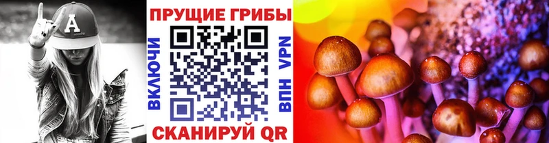 как найти закладки  Махачкала  omg маркетплейс  Галлюциногенные грибы GOLDEN TEACHER 